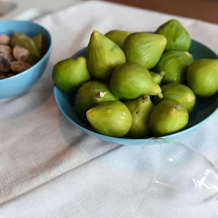 Jurenda Comfortable *