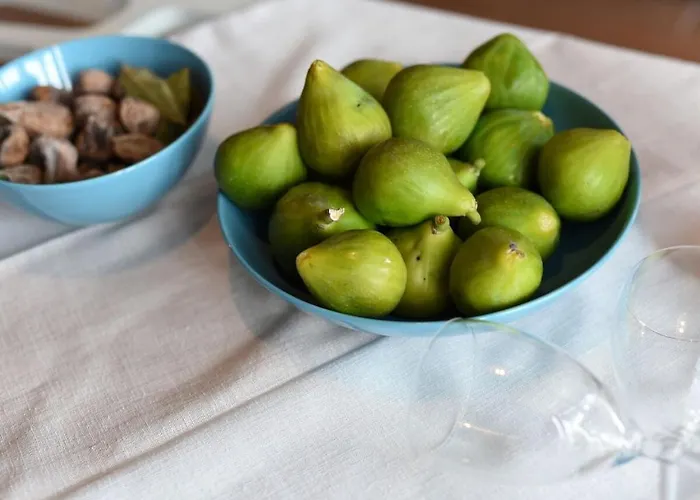 Jurenda Comfortable *