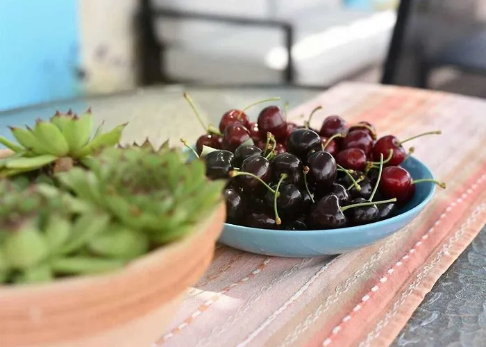 Jurenda Comfortable Sukošan